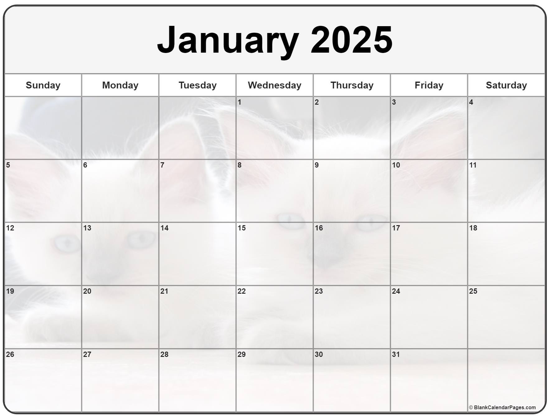 January 2025 Calendar Wallpaper with Cute Cat