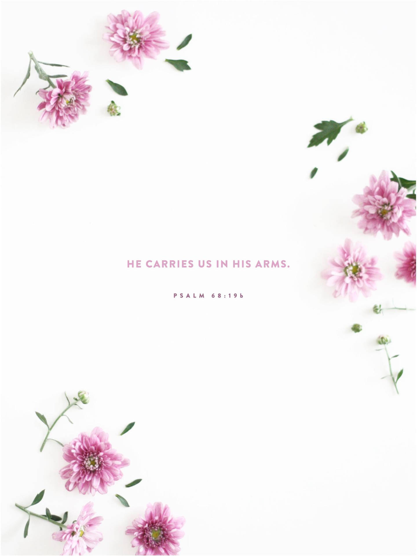 Aesthetic Bible Verse Wallpaper