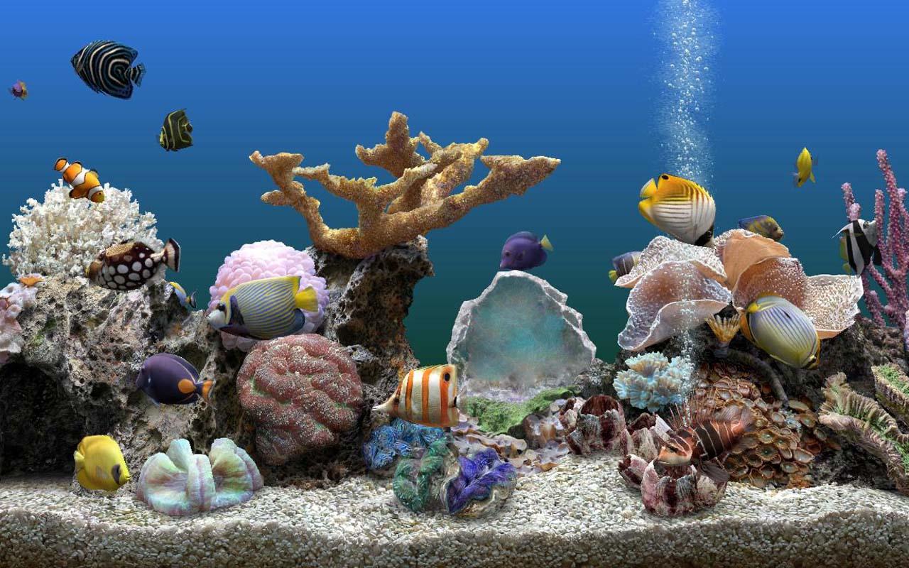 Aquarium Live Wallpaper Pro for android Aquarium Live Wallpaper