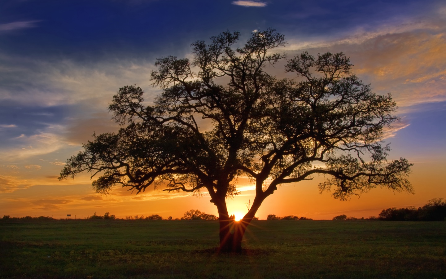 texas scenery