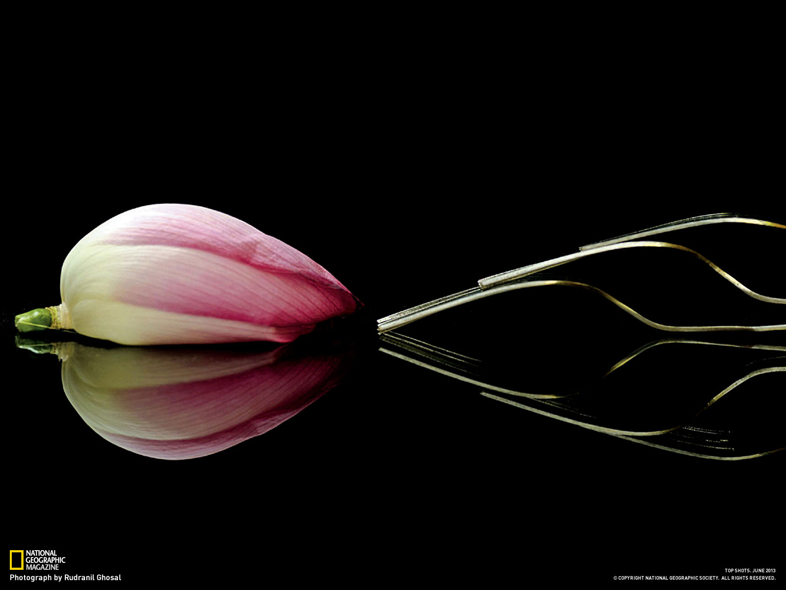 National Geographic Magazine Ngm