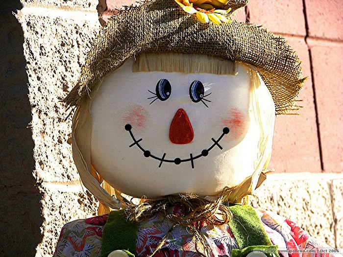 Lovely Face Of Scarecrow Photos Wallcoo
