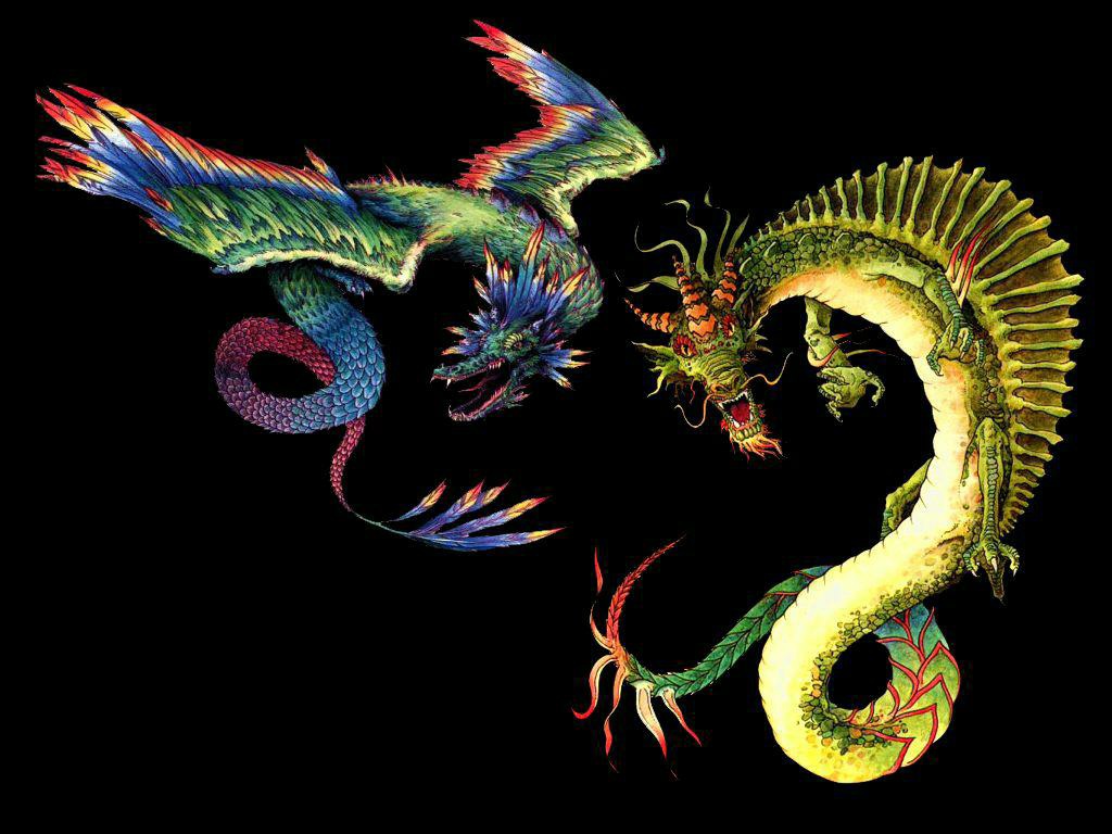 Mythical Creatures Image Amphiptere And Dragon HD