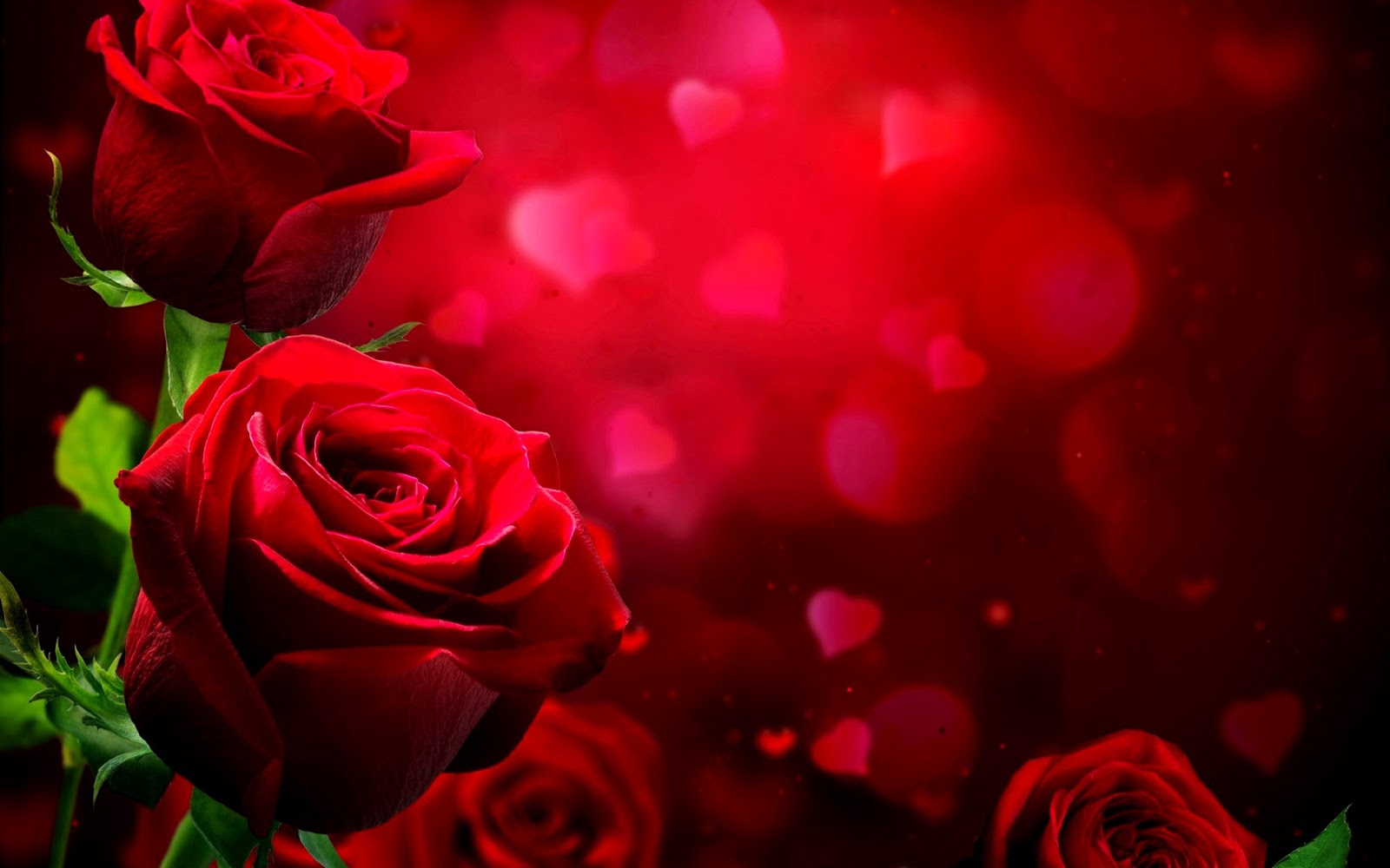 Love Wallpaper Hd Loving Hearts Wallpapers Red Roses   Beautiful
