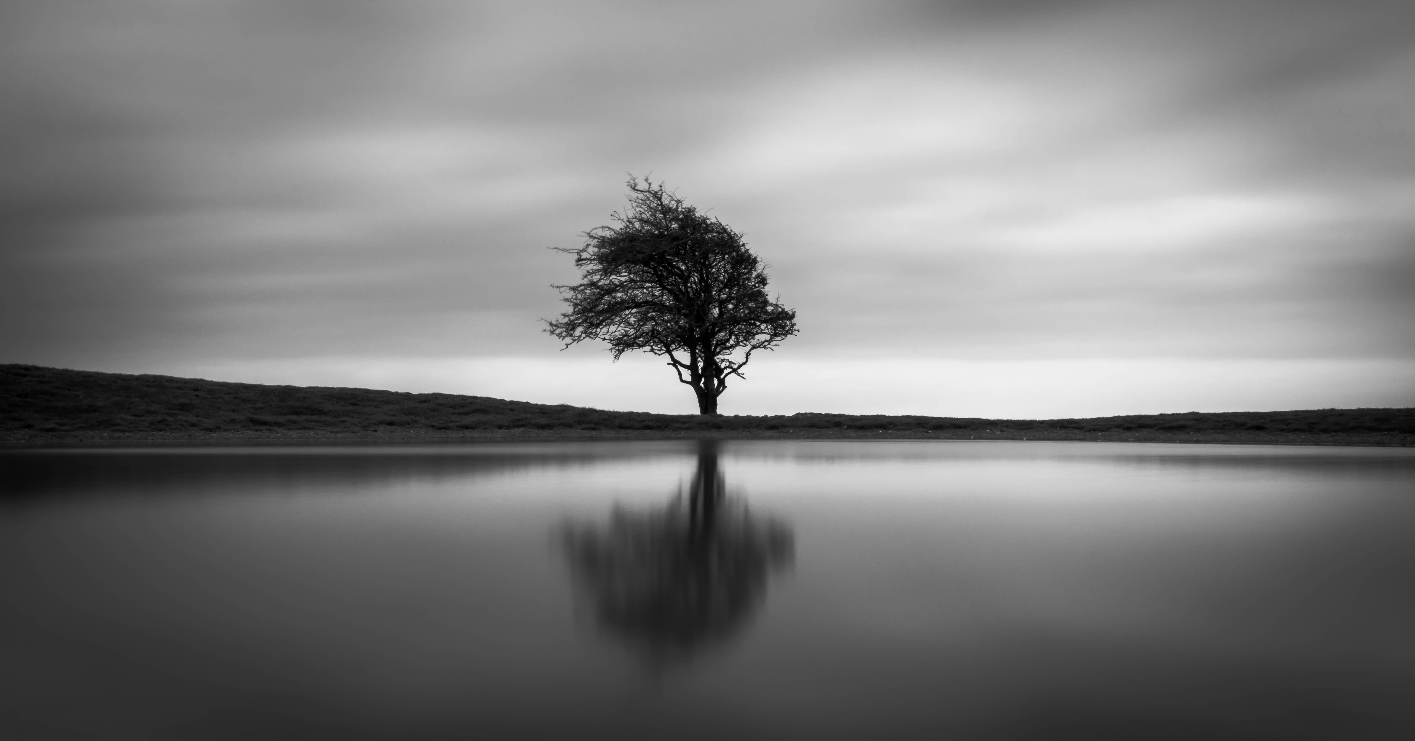 Black and white photograph of a lone tree reflected in still water, with a long exposure creating a smooth, glassy surface. The sky is a dark grey with hints of light, and the tree's branches are slightly blurred by the wind. The overall mood is serene and melancholic