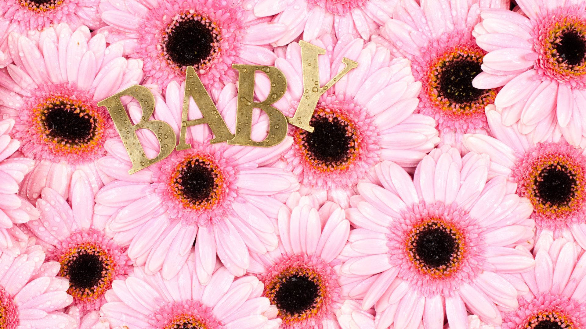 Baby Pink Wallpaper