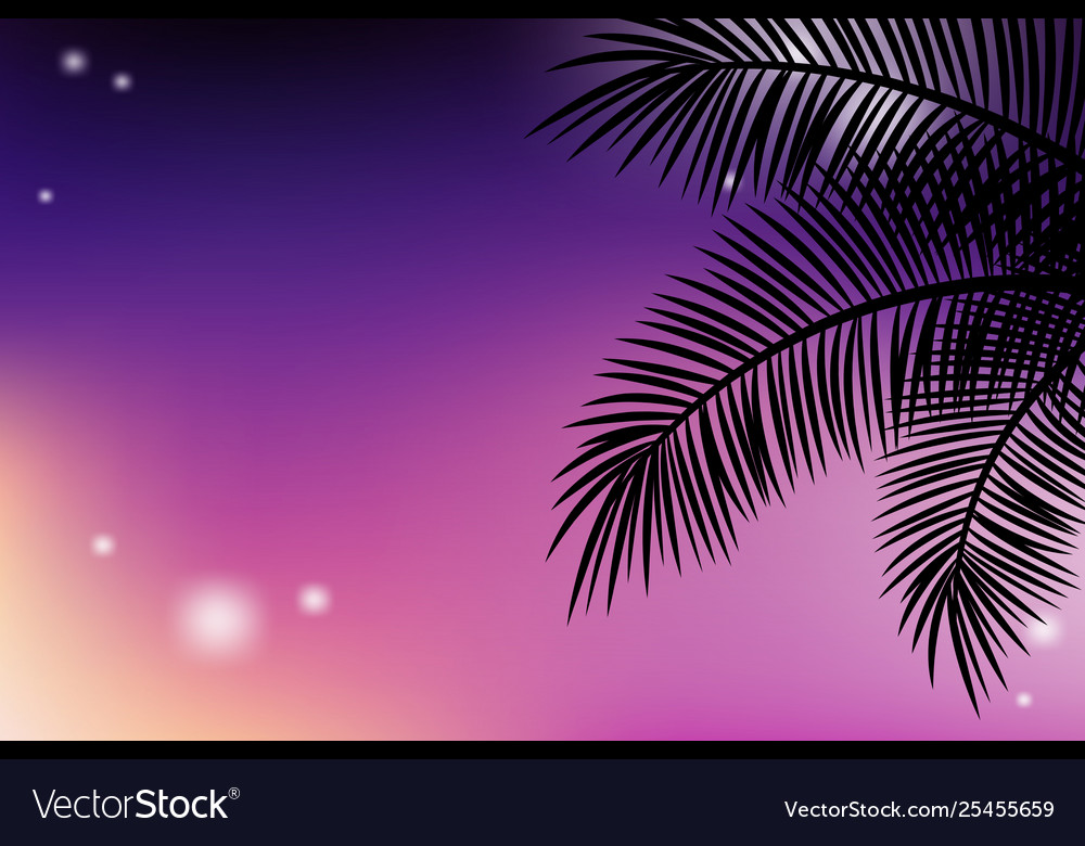 Summer Tropical Background With Palms And Sunset Vector Image