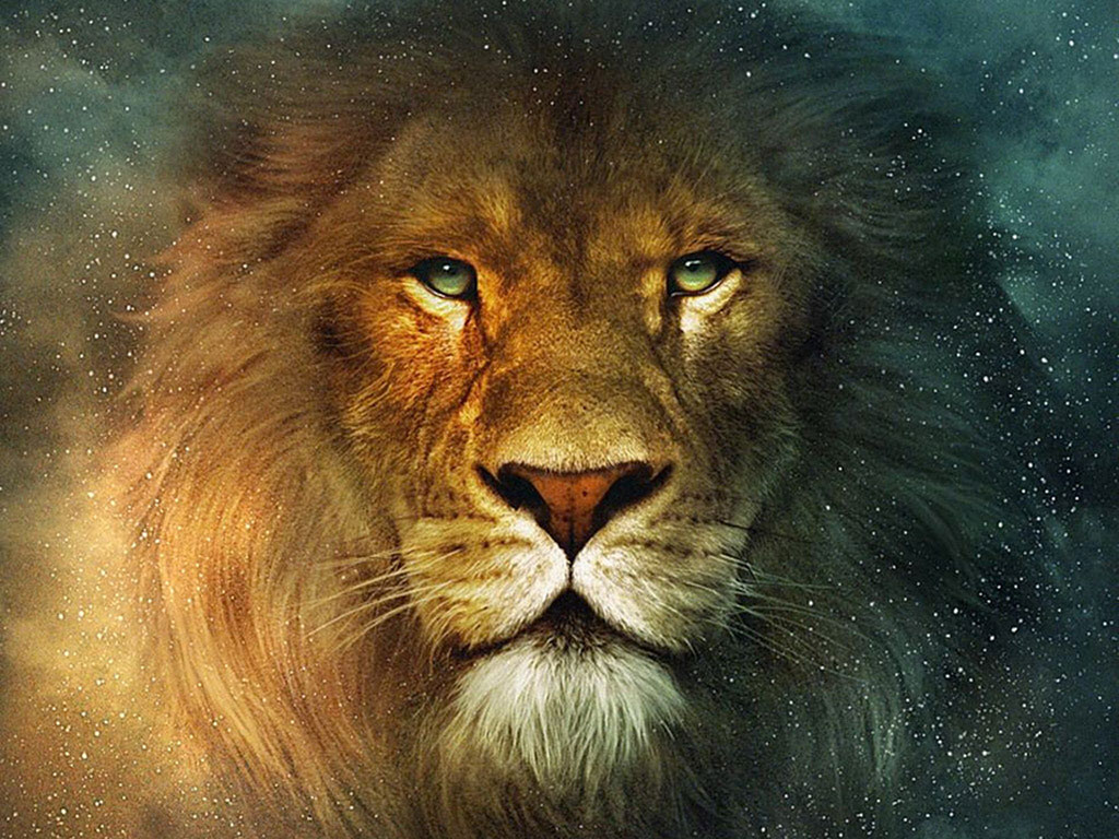 The Lion Aslan From Chronicles Of Narnia Desktop Wallpaper