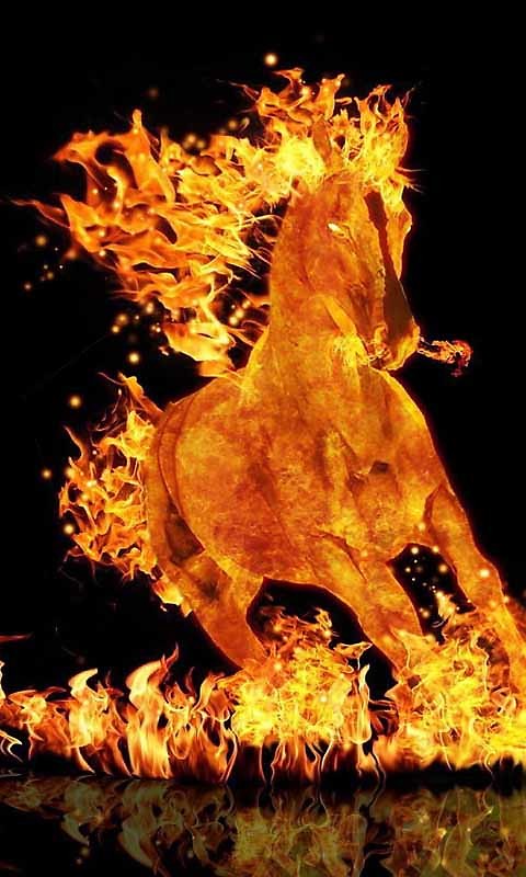Live Wallpaper The Fire Horse