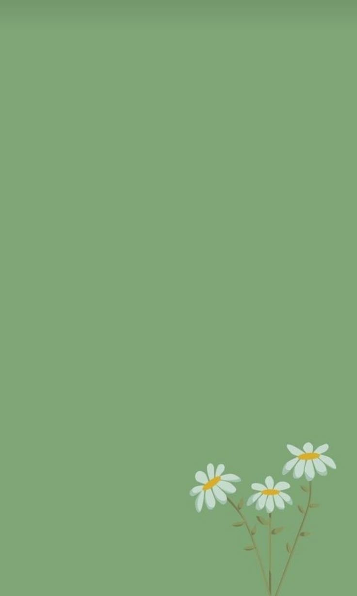 Sage Green Aesthetic Wallpaper