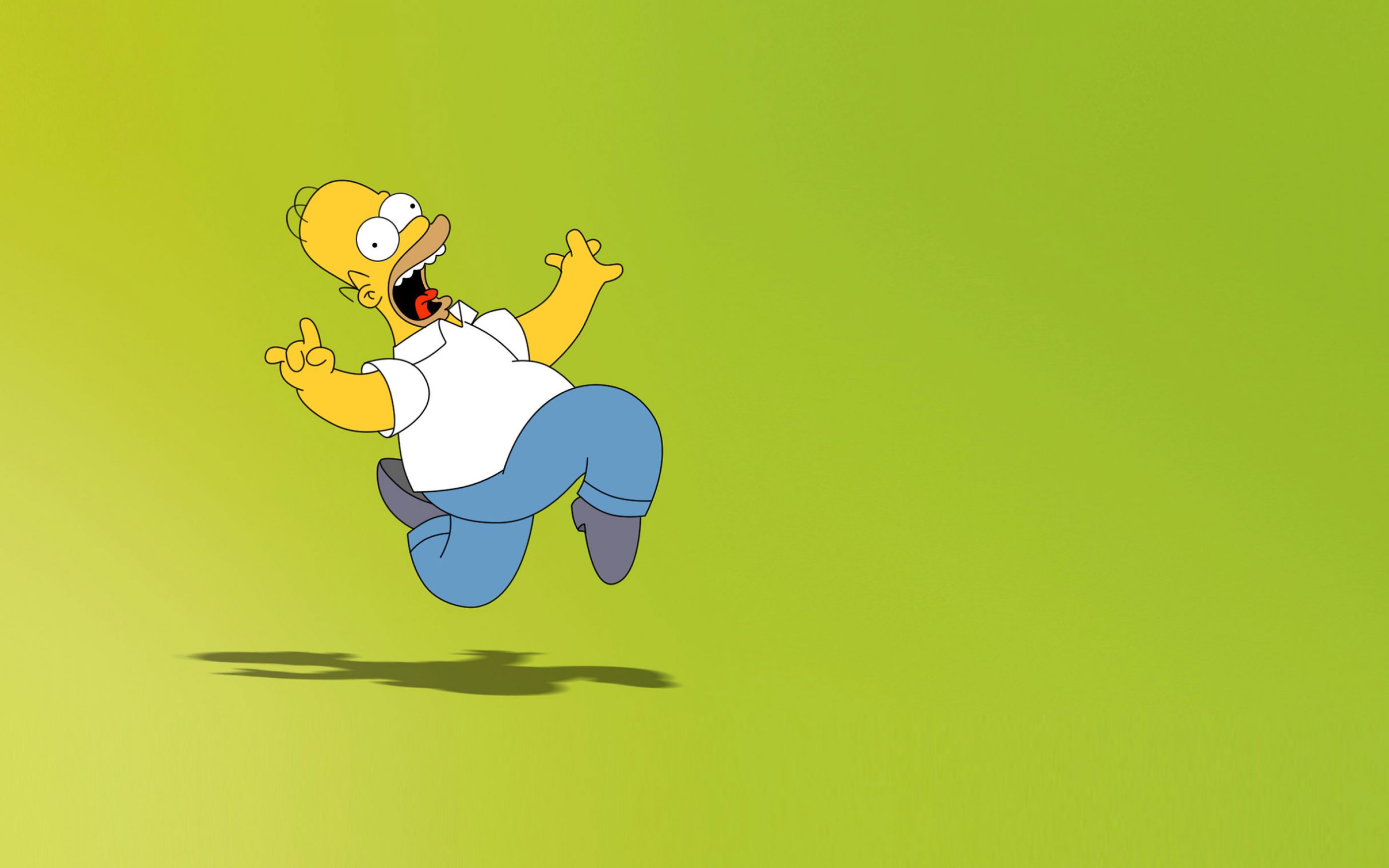 Homer Simpson Wallpaper HD Pictures