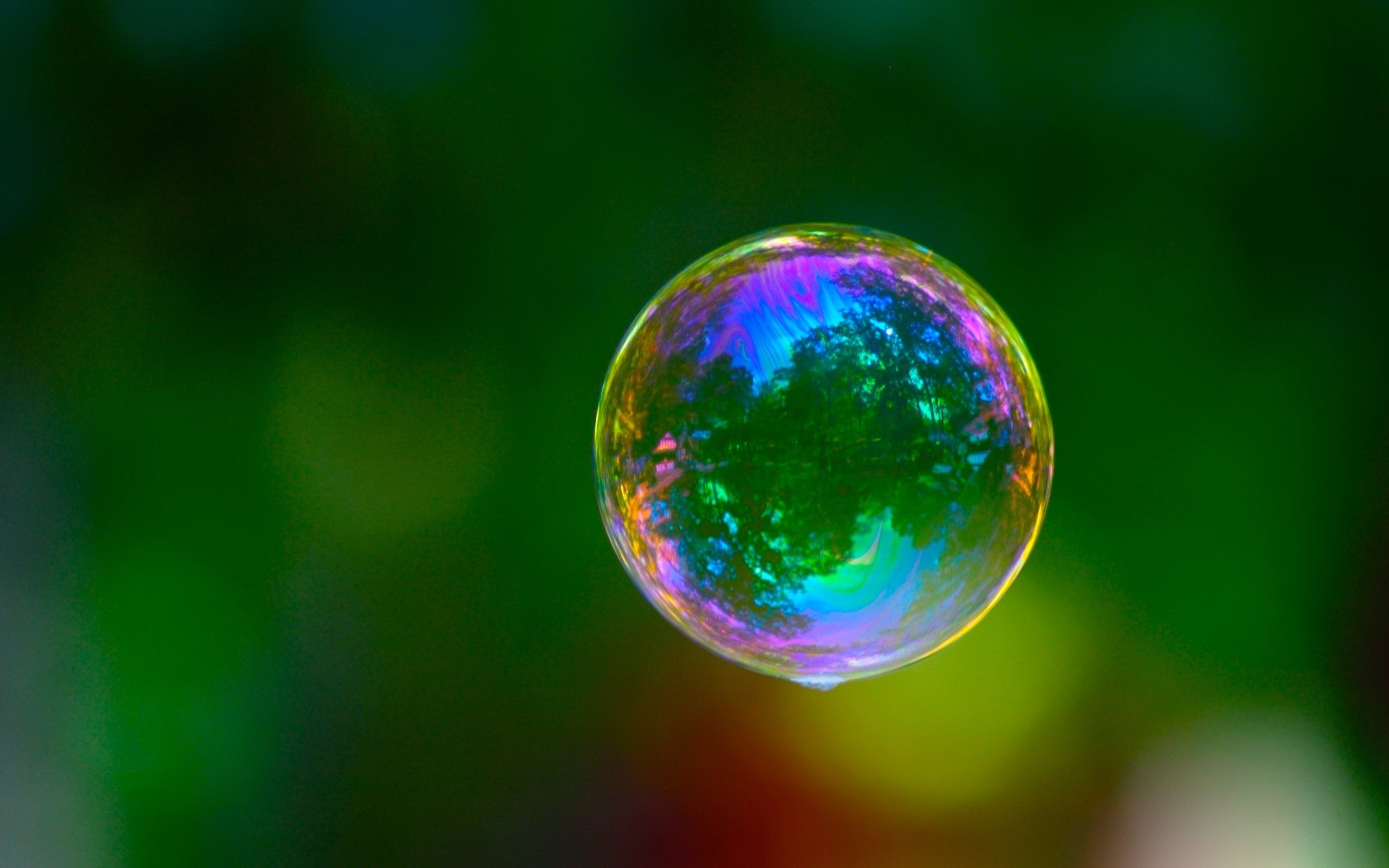 Bubbles Depth Of Field HD Wallpaper