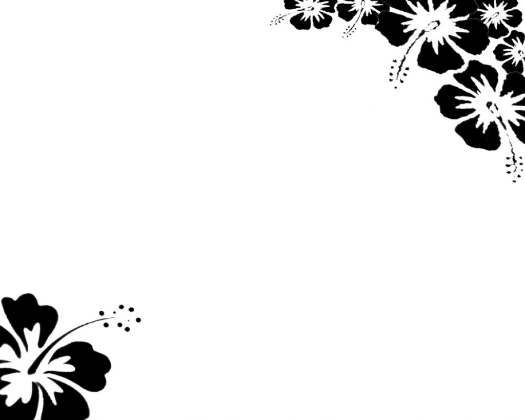 Black And White Flowers Wallpaper Borders