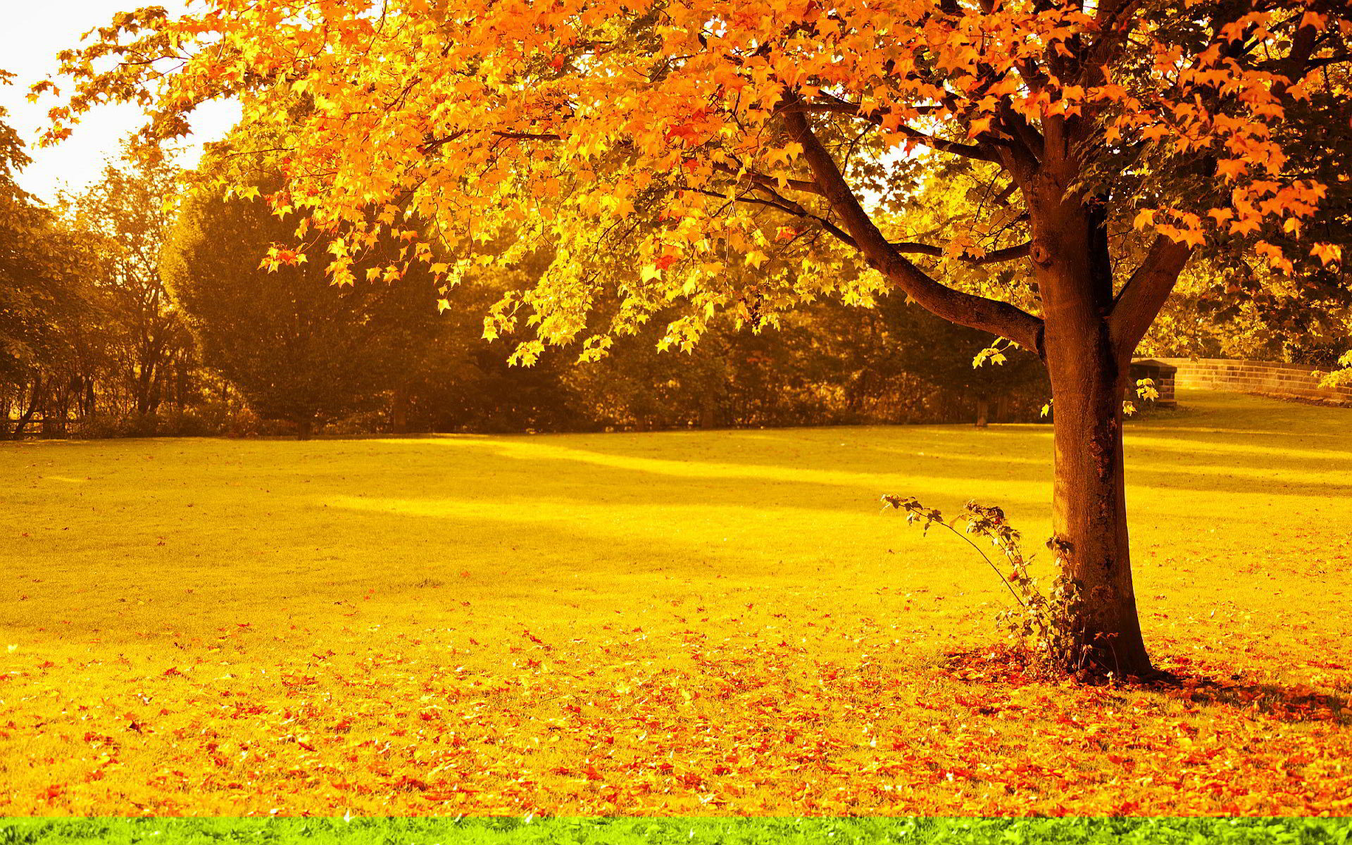 Early Fall Desktop Wallpaper