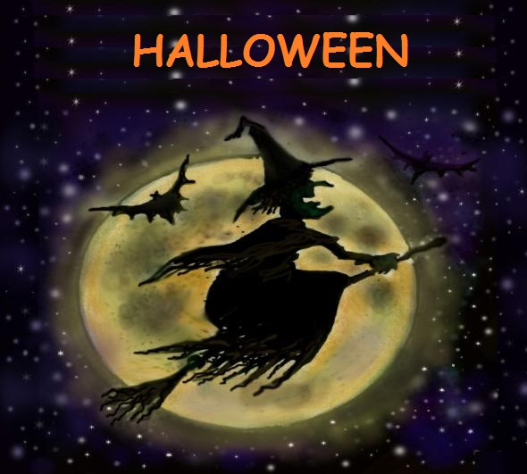Halloween Witch And Moon Wallpaper 590x531