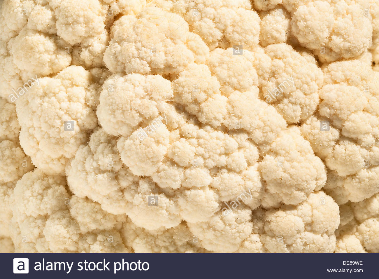 Cauliflower Background Textured Closeup Bumpy Stock Photo