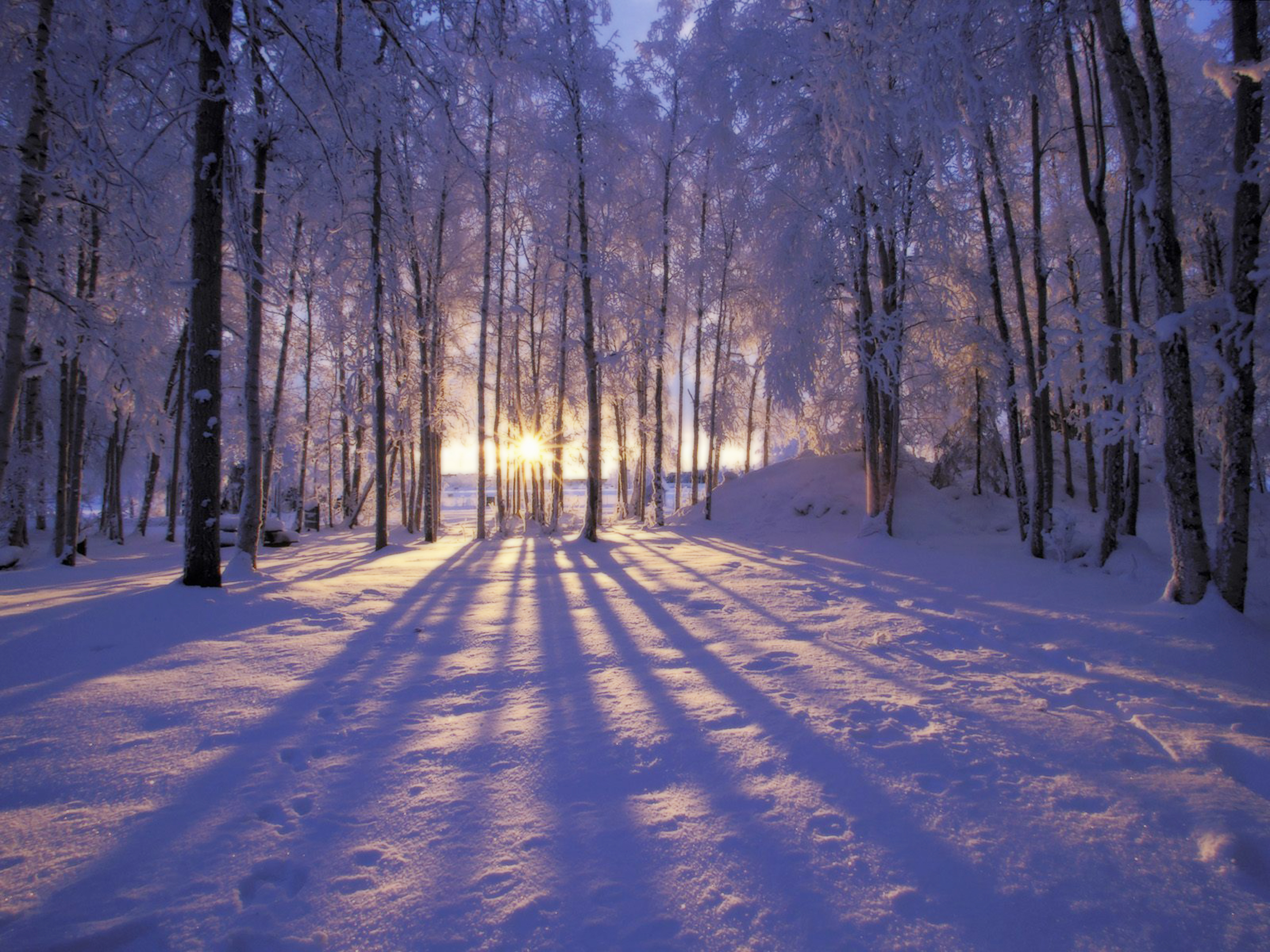 Winter Scenery For Desktop Background
