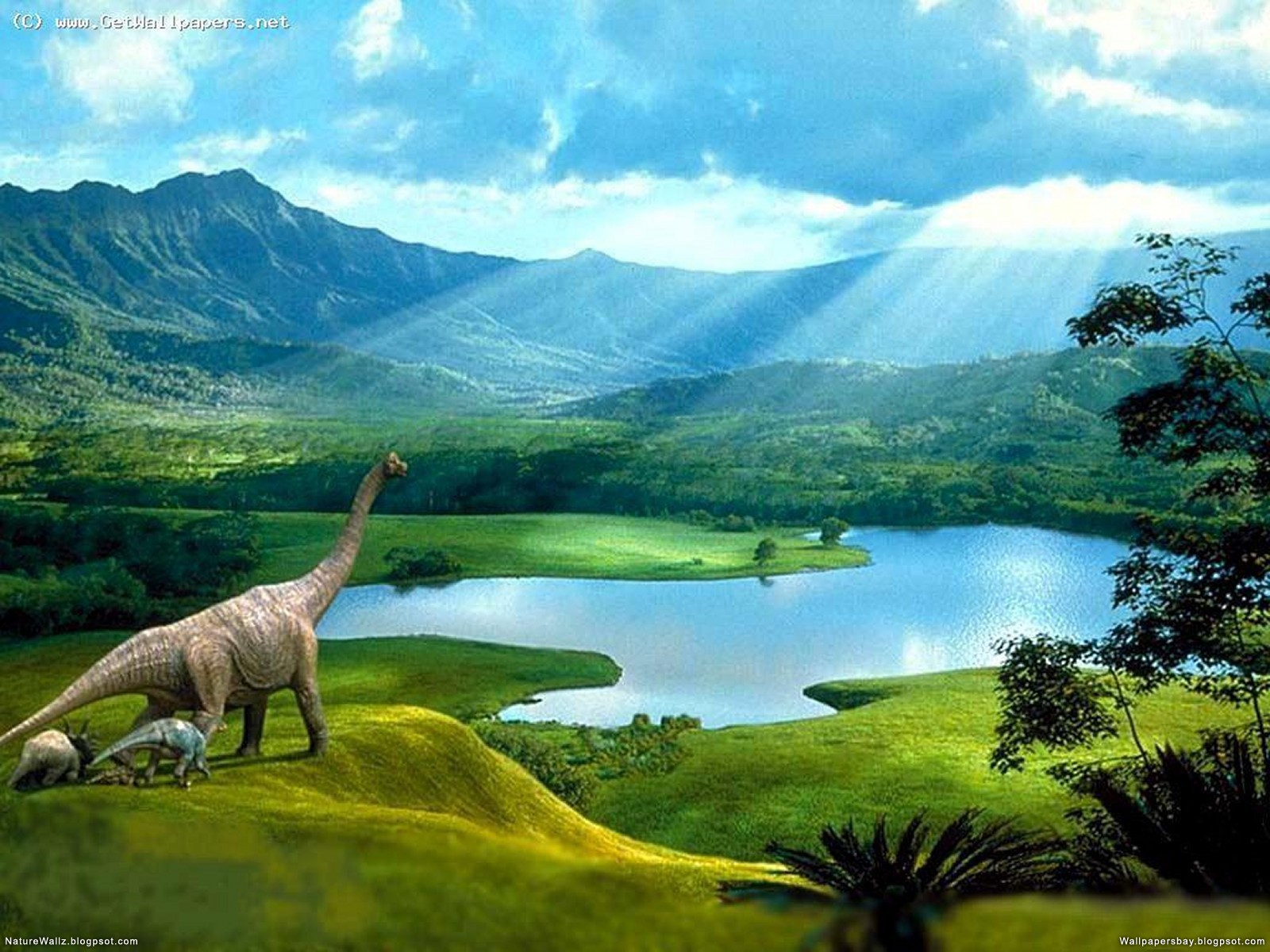Dinosaur Digital HD Desktop Wallpapers   Nature Wallpapers Best HD
