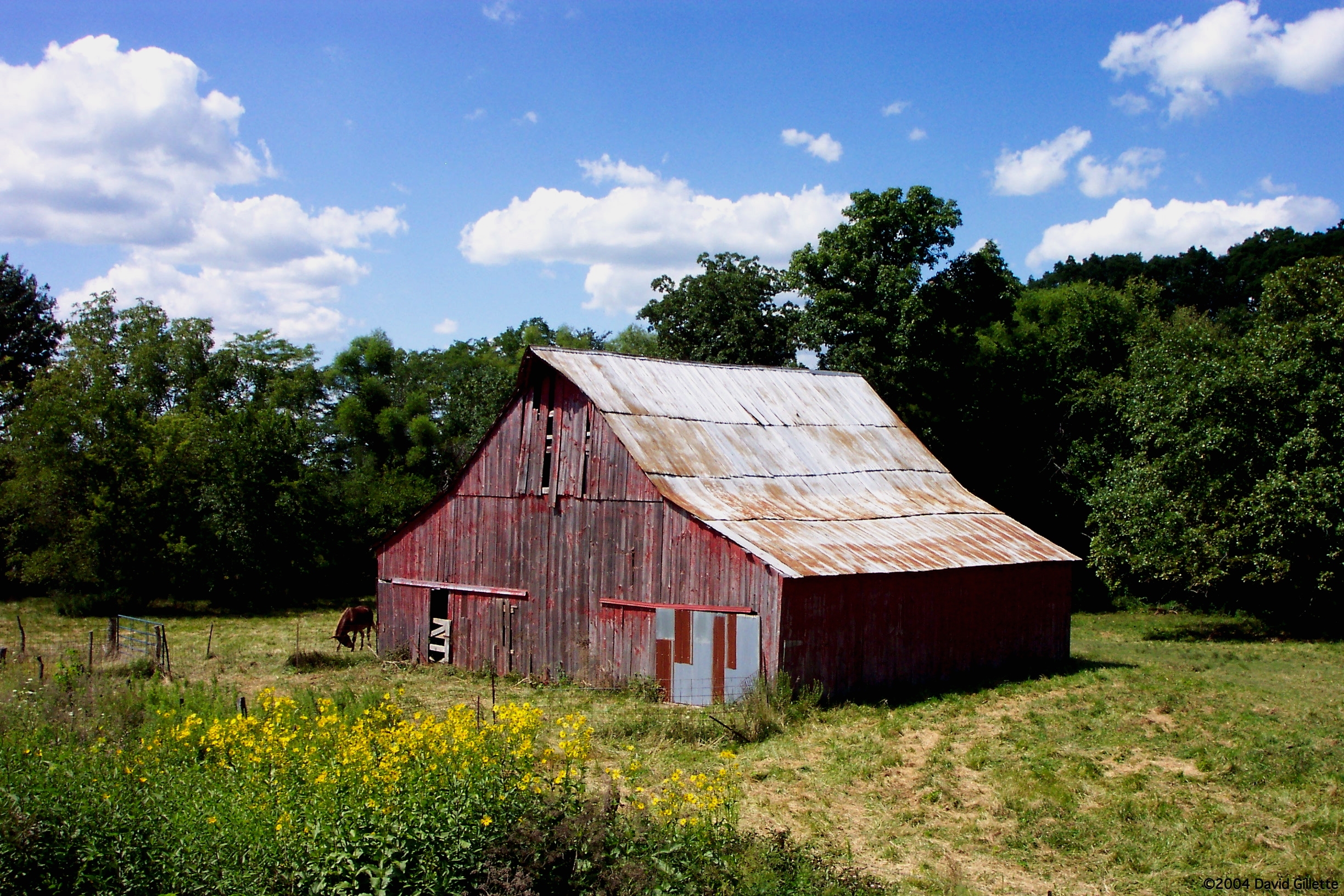 Photographs Of Missouri Barns By Prof And Churches O