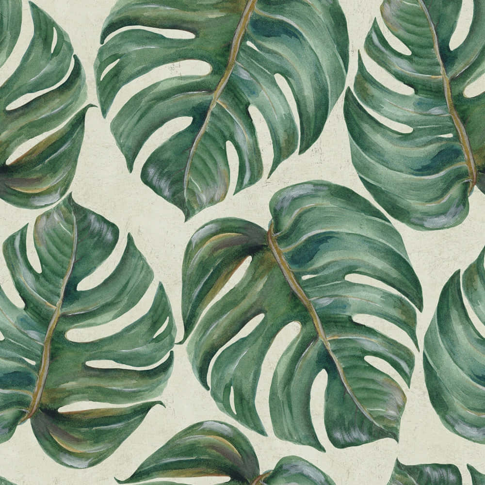 Refreshingly Beautiful Tropical Leaves Wallpaper