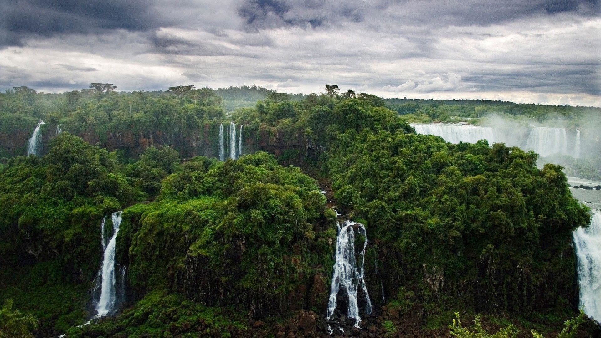 Rainforest Wallpaper For Pc