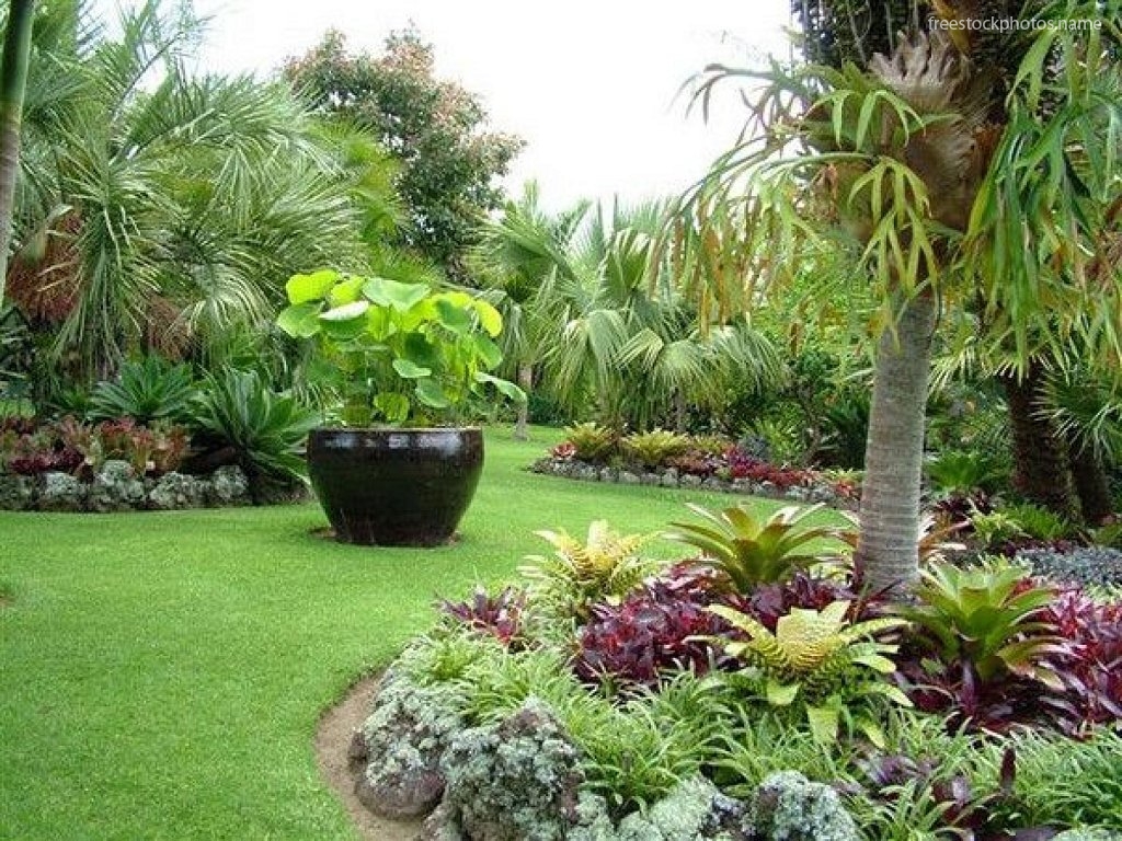  tropical gardens images photography Royalty free photography 2881