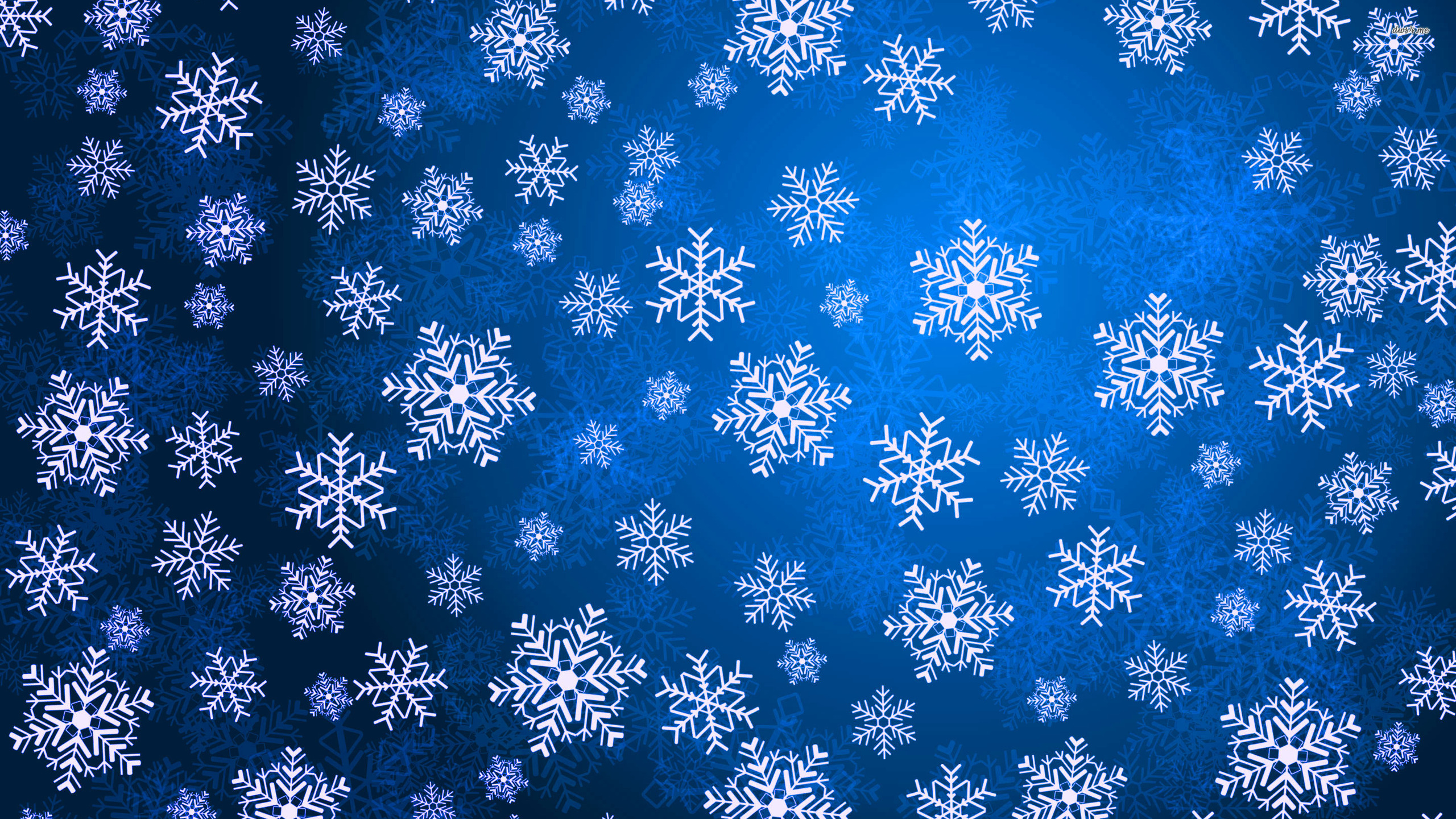 Snowflake Nature Wallpaper HD