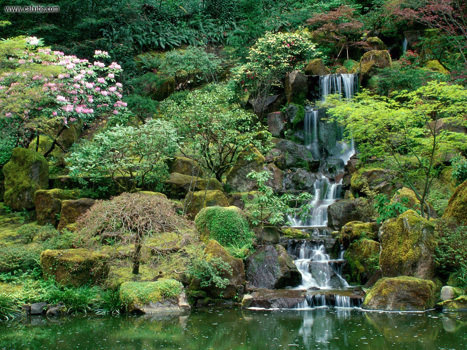 Nature Japanese Gardens Portland Oregon picture nr 16302 1600x1200