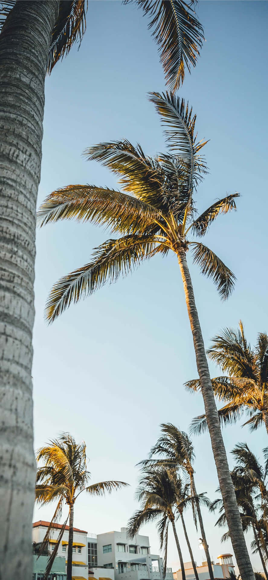 Miami 4k Wallpaper