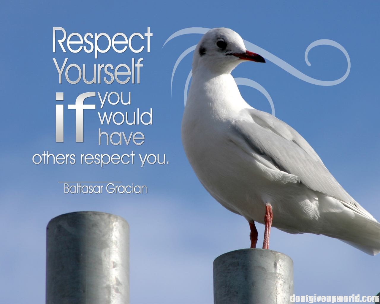 Motivational Wallpaper On Yourself Respect Dont Give