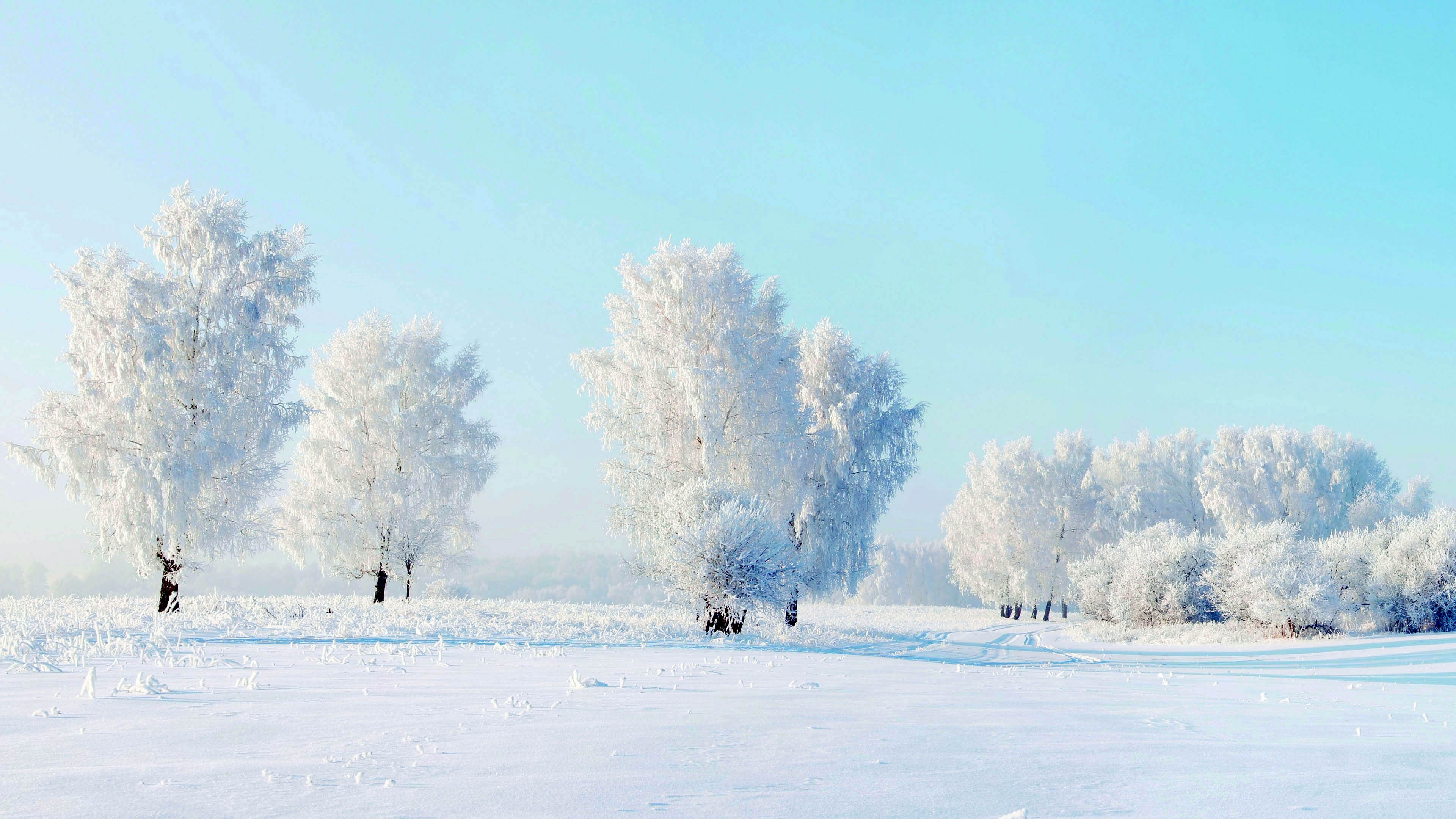 A breathtaking winter landscape with frost-covered trees under a clear blue sky