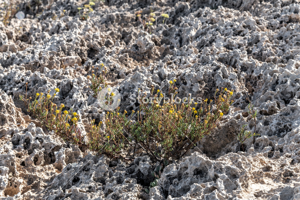 A Volcanic Rock On The Island Of Cyprus Background Royalty