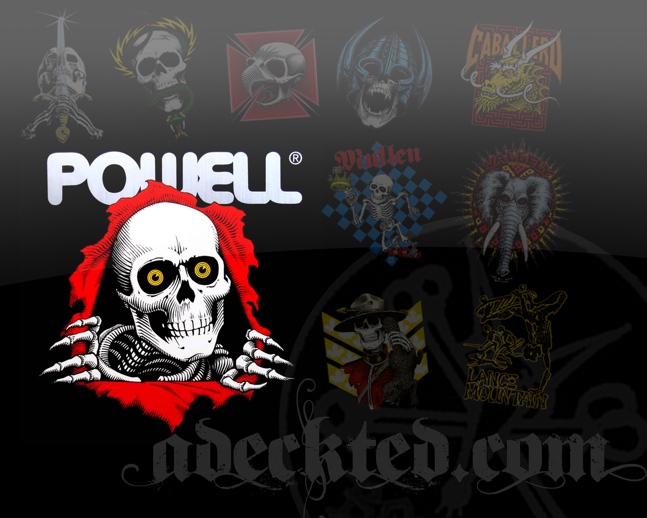 Best Powell Peralta Wallpaper