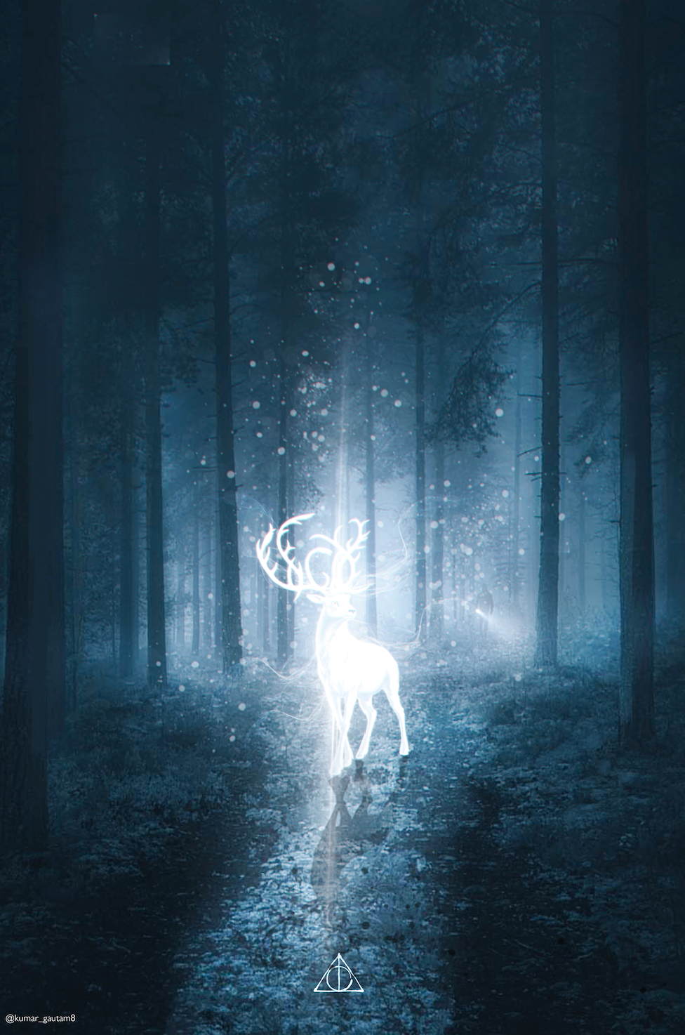 Harry Potter Patronus Poster Only Defining