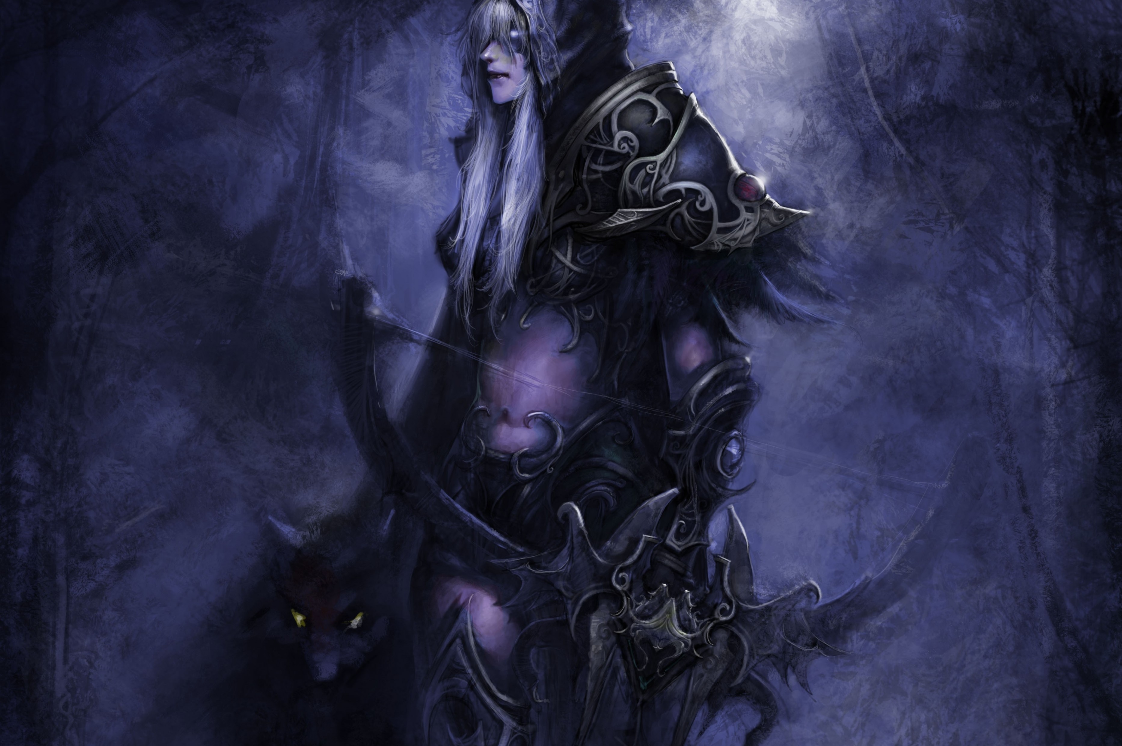 World Of Warcraft Archer Armor Hoodie Dark