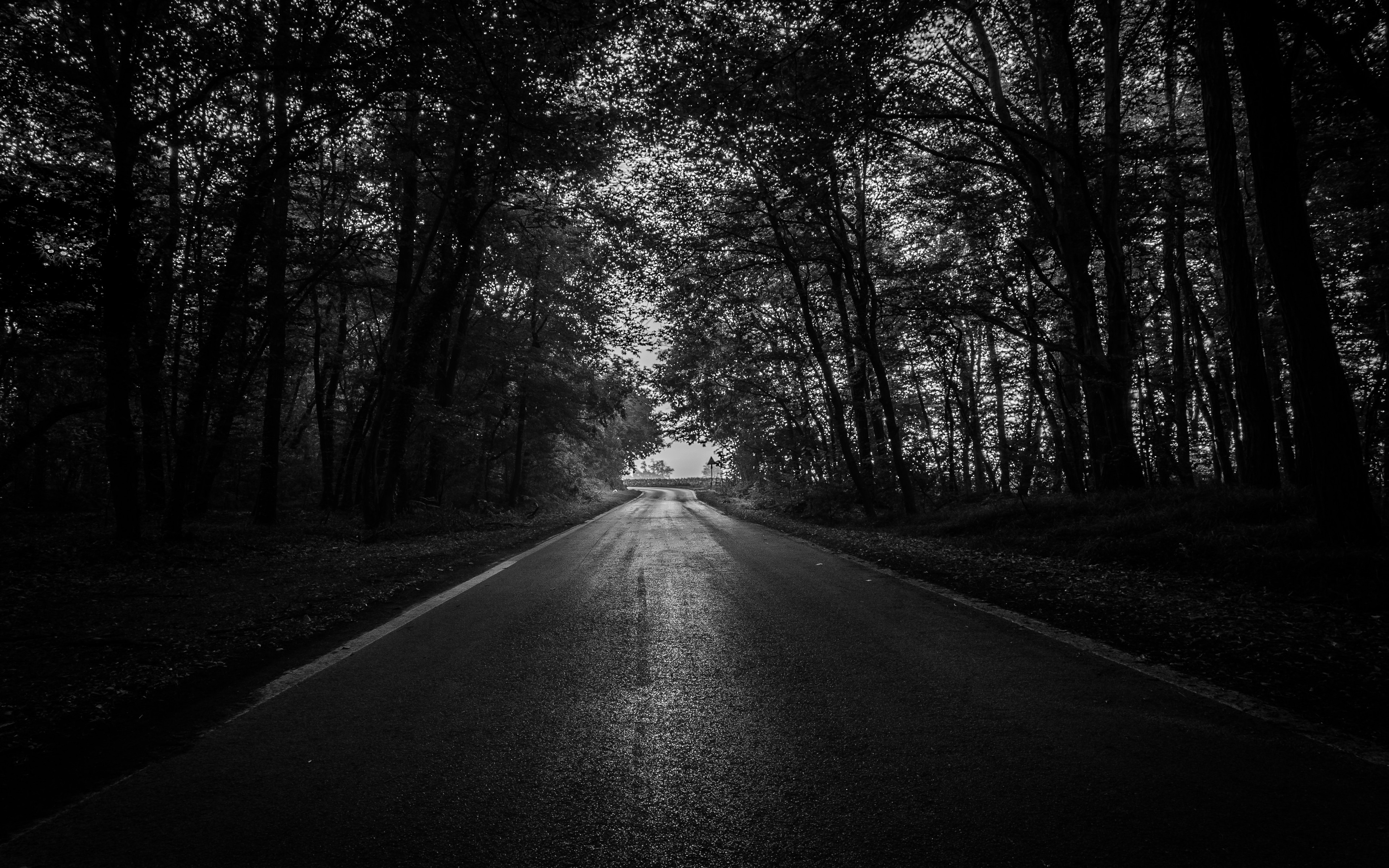 Free Download Download Wallpaper 3840x2400 Road Trees Bw Dark Forest 4k 3840x2400 For Your Desktop Mobile Tablet Explore 28 Dark Road Wallpapers Dark Road Wallpapers Beautiful Road Wallpaper Road Runner Wallpaper