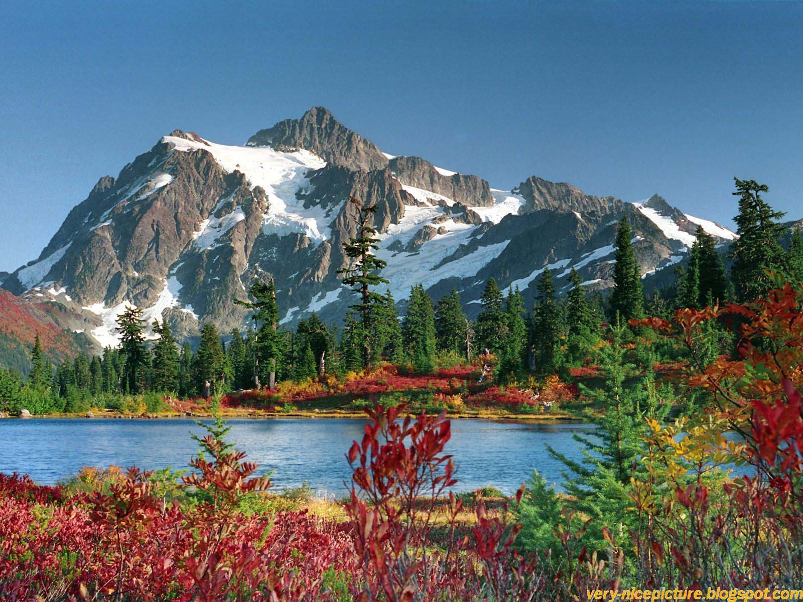 Beautiful Nature Wallpaper