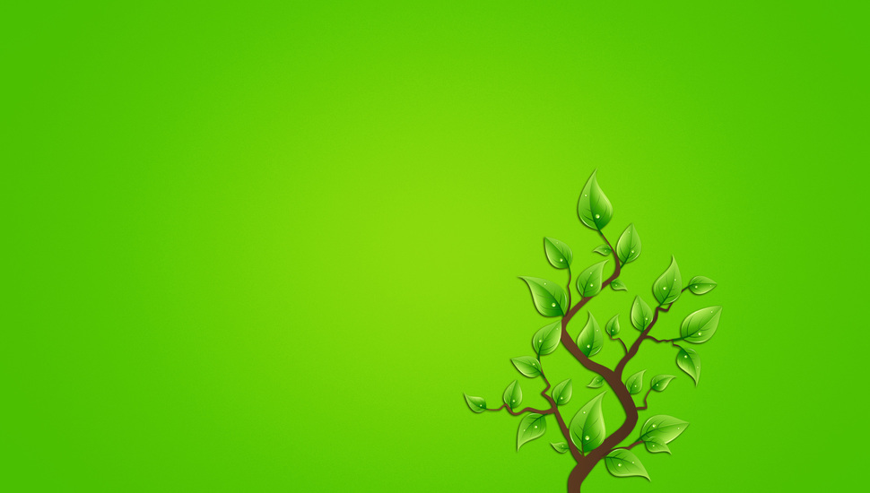 Branch Greenish Background Leaves Minimalism Tree Wallpaper