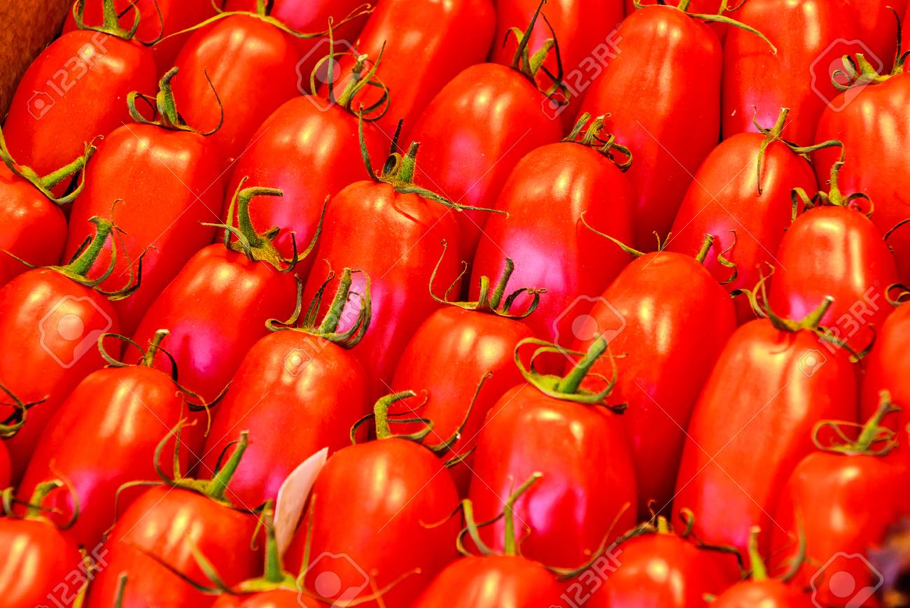 Background Of Roma Tomatoes Plum Tomato Also Known As Processing