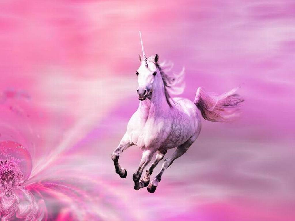 Pink Shimmers Unicorns Wallpaper