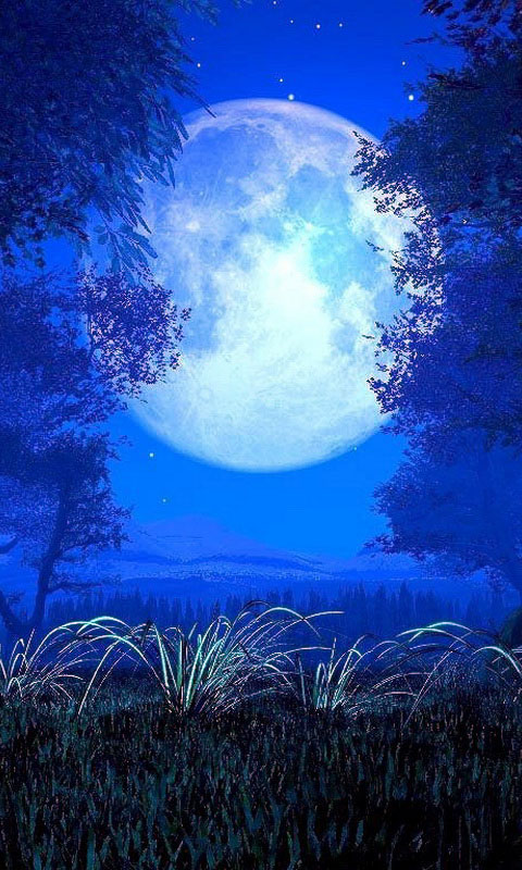 Android Phones Wallpaper Beautiful Moon