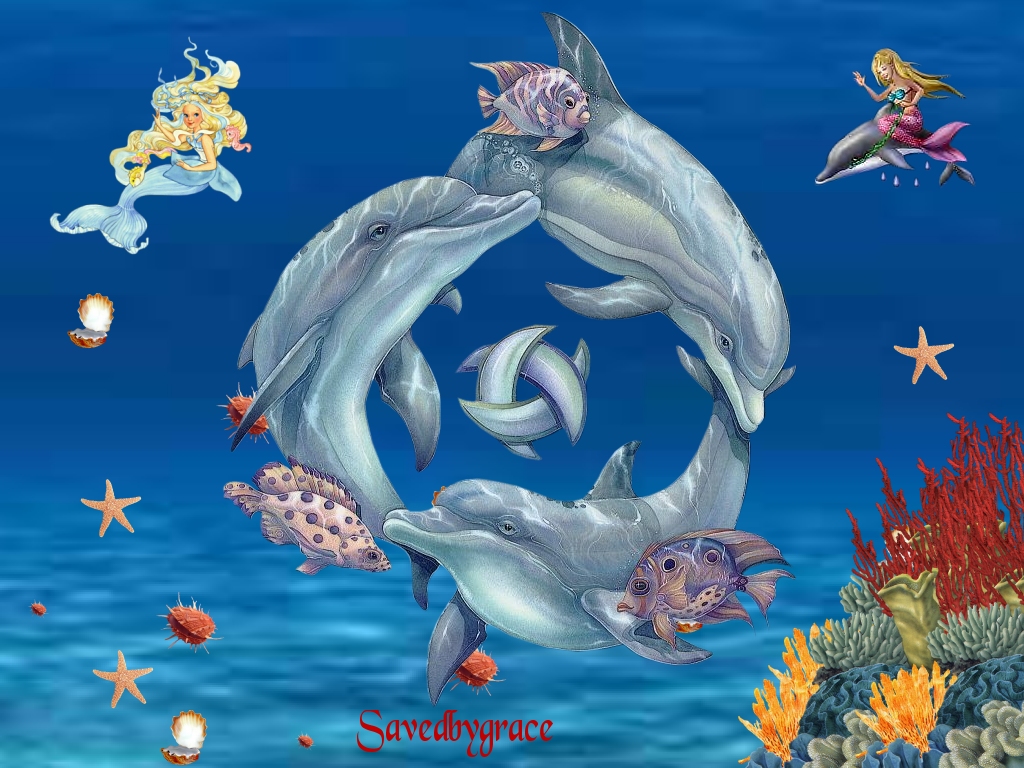 3d Dolphin Wallpaper In HD