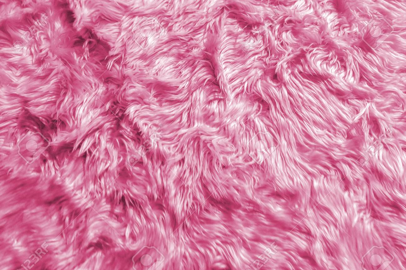 Wool Background Texture Closeup Of Natural Soft Pink Animal
