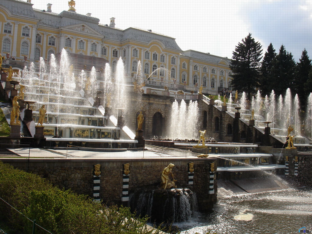 Wallpaper fountain Saint Petersburg palace Peterhof Russia
