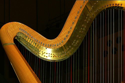 Harp Photos A Gallery On
