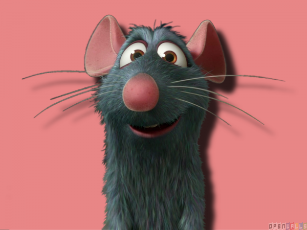 Rat Remy