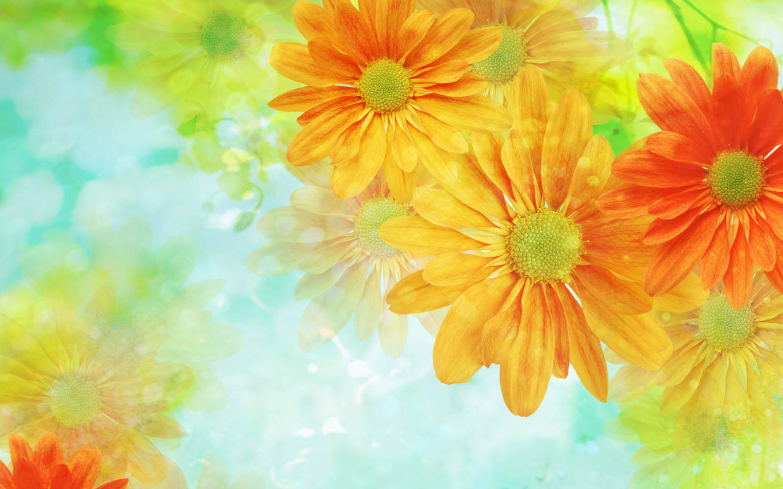 Wallpaper Flower Art