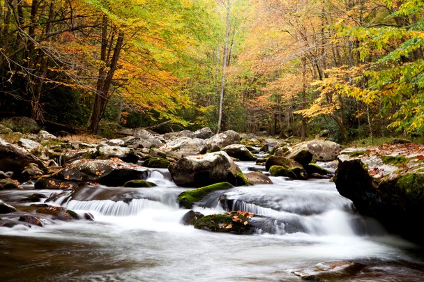 Smoky Mountain Stream National Geographic Photo Contest