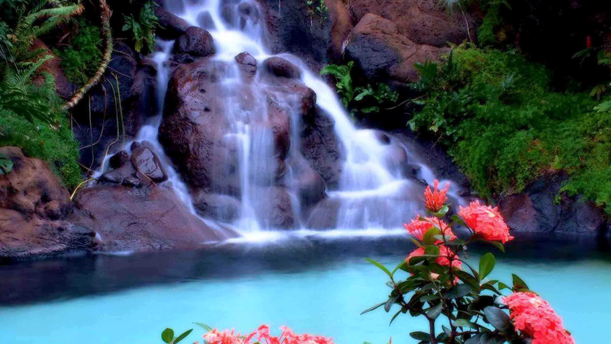 Tropical Waterfall Wallpaper High Resolution HD Jpg