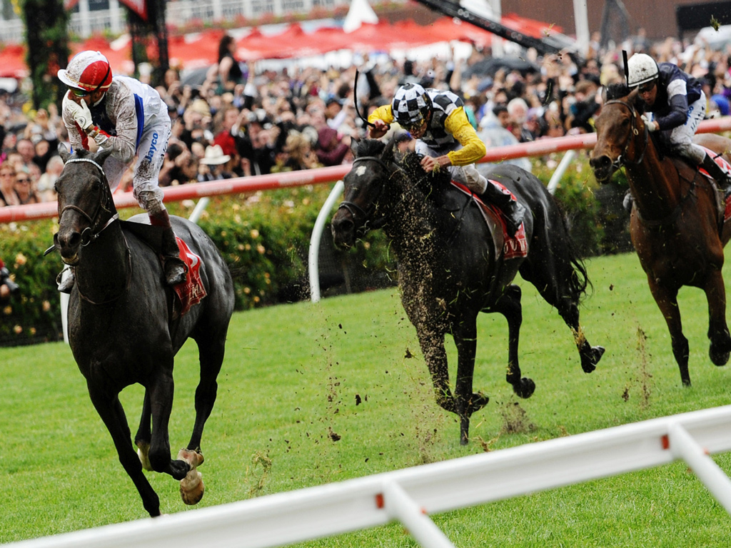 Horse Racing HD Wallpaper To For Your Mobile Puter